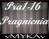 MATEUSZ B-PRAGNIENIA