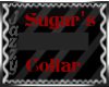 Jazzy - Sugar Collar/Pet