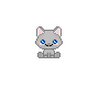 Grey Kitten