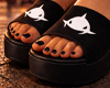 Shark Slides®