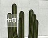 Cactus - Add on