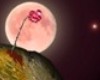 rose moon sticker