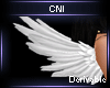 Angel Halo & Wings