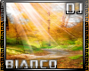 autumn dome 2 DJ LIGHT
