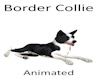 Border Collie. Animated