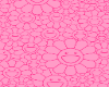 S. PINKKURI