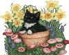 cat in flower pot