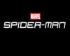 Spider-man Wall 3D