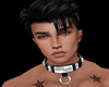 Wolven Collar