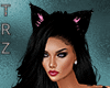 TRZ- Kitty Bundle- Ears