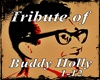 Tribute of Buddy Holly