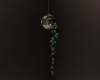 plant in the Bank temnee