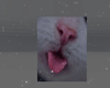 tongue ♡