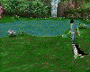 Dog Fetch Frisbee