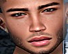 Realistic Head