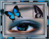 Blue Butterfly eyes