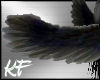 Black Feather Angel Wing