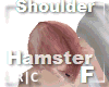 R|C Hamster Pink F