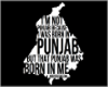 ~BR Punjab in Me