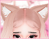 Cat ears barbie