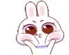 Bunny wink