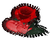 Flower Rose Heart