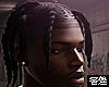 🅉 - Small Twist Locs