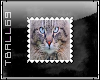 Blue Eyed Cat Stamp