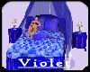 (V)True blue bed