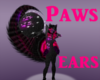 Paws- Ears