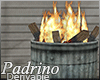 Trash Can On Fire .:. D