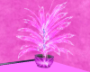 planta neon