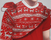 D - Christmas Hoodies R