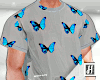 ℍ™ Blue Buterflies