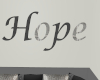 (S)HOPE