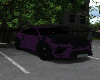 Orchid prple urus(mnsry)