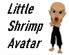 Little Shrimp Avatar