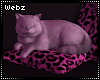 Kitty