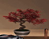 romantic bonsai table