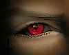 [G] Demon eyes II