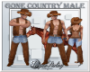 Gone Country Male Hat