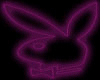 Blink Purple Bunny