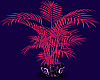 Animated Pink/Purp Plant