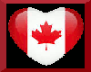Canadian Black Heart
