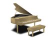 (P3)Carmel Piano