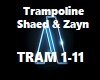 Trampoline Zayn Shaed