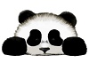 Jenn's Panda Rug 