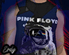 fer. Pink Floyd