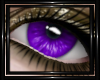 !T! Eyes | Elara P