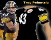 (DC) Steelers Jersey